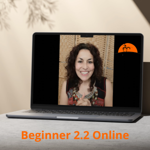 Beginner 2.2 Online